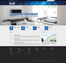 标顶官网由沙漠风独家设计制作,现网站项目正式上线,欢迎预览 沙漠风网站建设公司