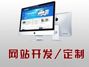 深圳营销型网站建设 大型门户网站建设
