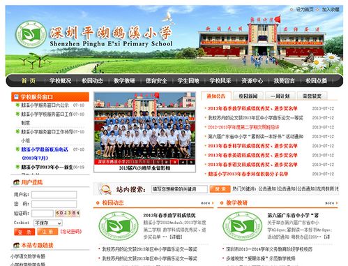 深圳平湖小学