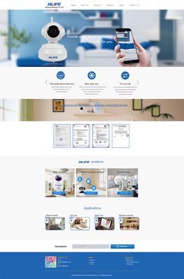 Shenzhen Zhongshixun Technology Official English Website: Corporate Webpage Optimization Case Study (2015)
