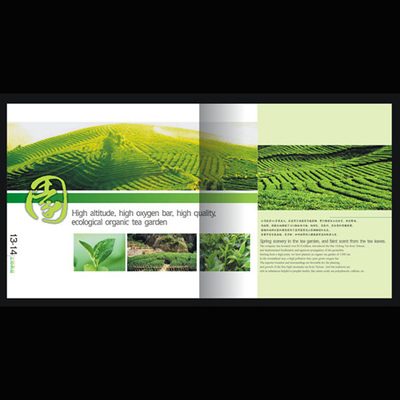 深圳产品图册与网页设计 一站式品牌视觉解决方案